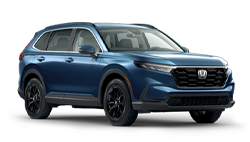 Honda_Gonzalez_Gallo_img6